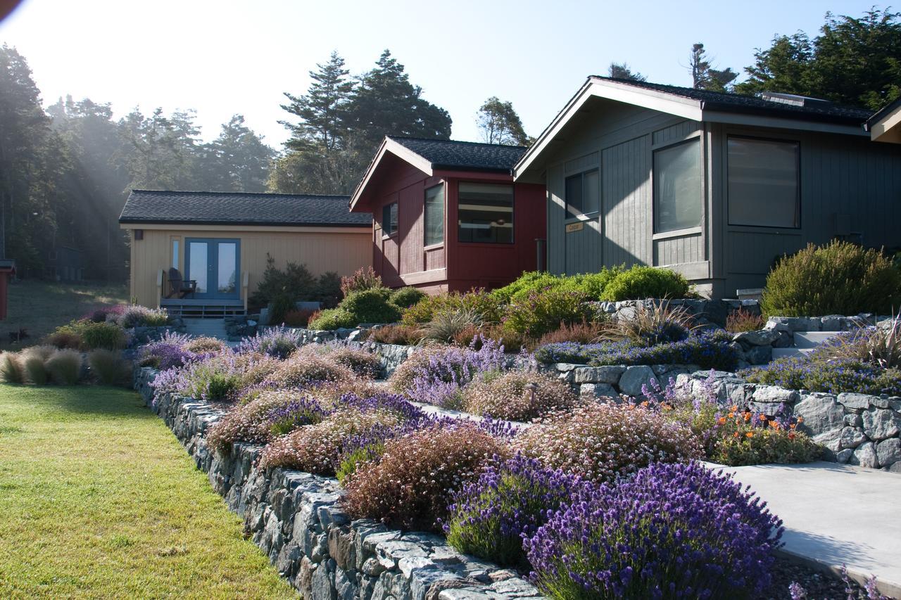 Inn At Cove Little River