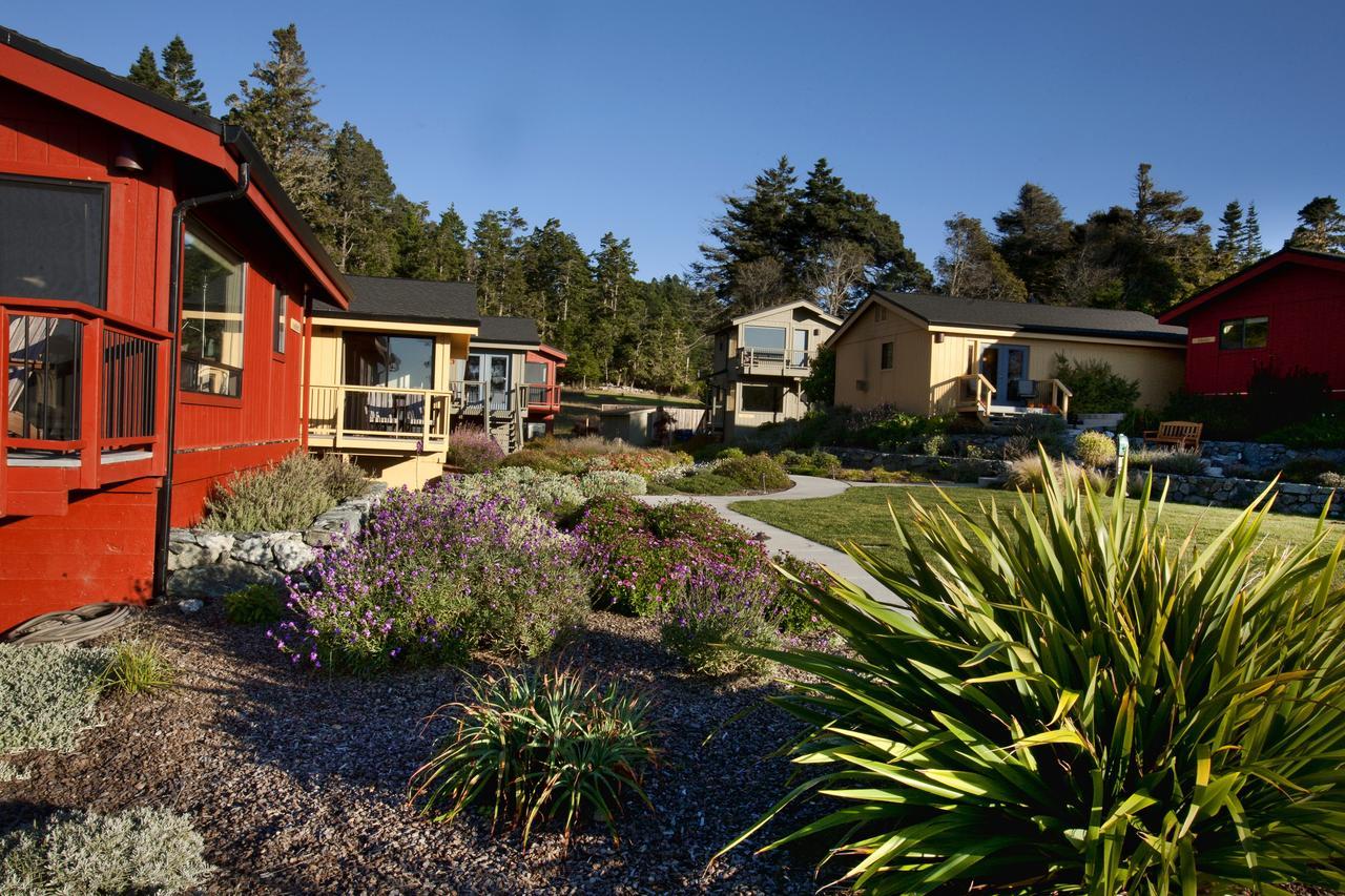 At Cove Inn 3*